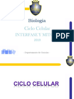 Mitosis 2 Medio