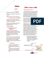 Neuroanatomia