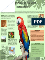 Cartel Biologico (Guacamayo Rojo de América Central)