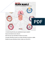 Infografik Sorular