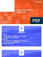 Reporte Servicio de Radio Collahuasi: FECHA: 02-02-2023