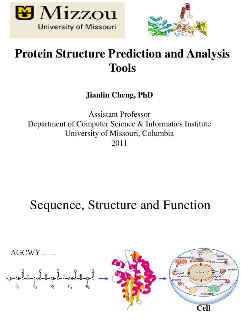 Protein Structure Prediction Tools | PDF | Alpha Helix | Proteins