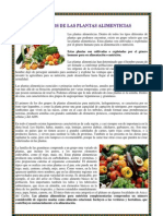 Beneficios de Las Plantas Alimenticias