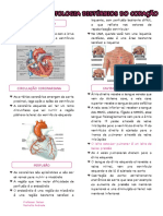 Anatomofisiopatologia Distúrbios Do Coração