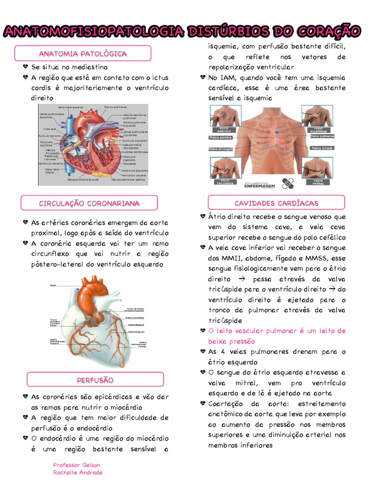 Anatomofisiopatologia Distúrbios Do Coração | PDF