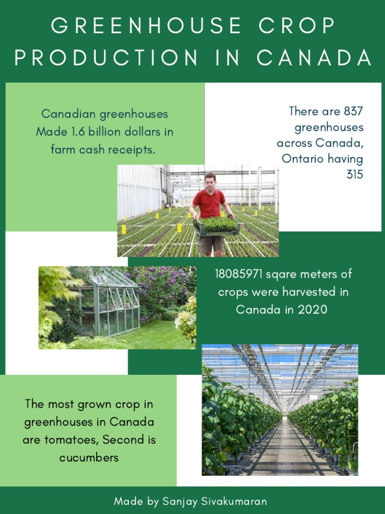 Canadian Greenhouses Made 1.6 Billion Dollars in Farm Cash Receipts PDF