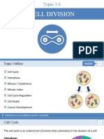 Cell Division: The Essential Process and Its Control