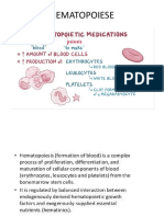 Hematopoiese