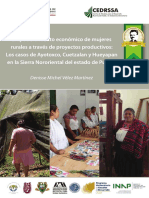 Empoderamiento Económico de Mujeres Rurales A Través de Proyectos Productivos: Los Casos de Ayotoxco, Cuetzalan y Hueyapan en La Sierra Nororiental Del Estado de Puebla