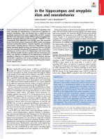 30765523_ Insulin signaling in the hippocampus and amygdala regulates metabolism and neurobehavior