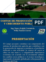 Costo de Producción de Cuyes