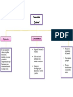 Mapa Conceptual Sobre La Identidad Cultural