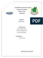 Genética y replicación del ADN en procariotas y eucariotas