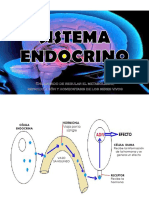 Endocrino