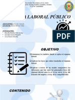 Sistema Laboral Público: Universidad Tecnológica de Los Andes