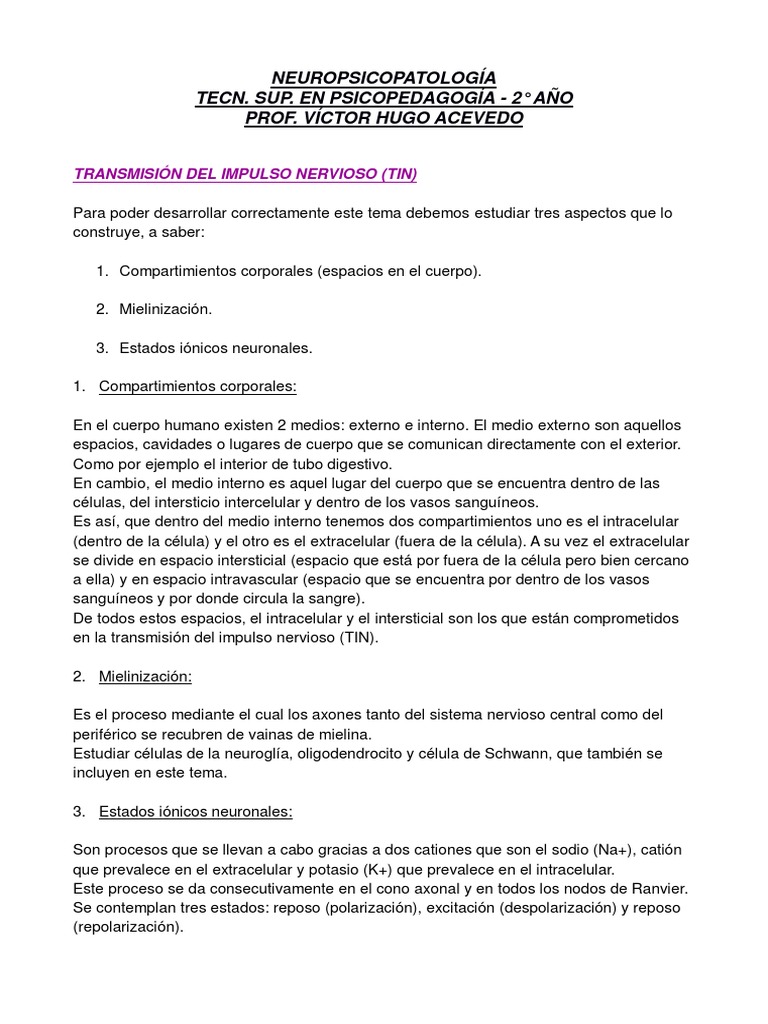 4-TIN (Transmisión Del Impulso Nervioso) | PDF | Axon | Potencial de acción