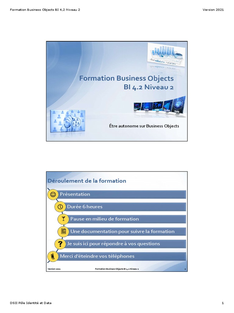 Formation avancée Business Objects BI 4.2 | PDF | Microsoft Excel ...