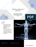 Membros superiores e inferiores: anatomia e doenças comuns