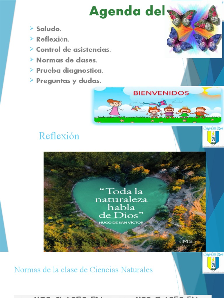 Mateo 9 12 13 Reflexi N