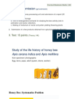 Life History of Bees - Hy - 1