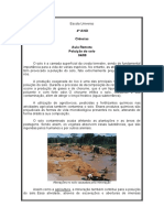 4º ANO Ciências Aula Remota Poluição Do Solo 04/08: Alterações No Solo Causadas Pela Mineração
