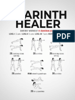 Azarinth Healer Workout