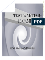 Test Wartegg 16 Campos