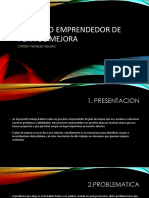 Proyecto Emprendedor de Plan de Mejora: Cristian Meneses Navarro