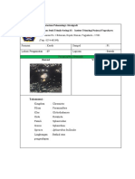 FORM FOSIL KEREK Bentonik