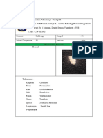 Form Fosil Kalibeng Bentonk-Nw