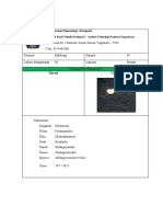 FORM FOSIL KAALIBENG PLANGTONIK-nw