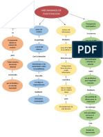 Mecanismos de Particpacion: Acceso A La Información