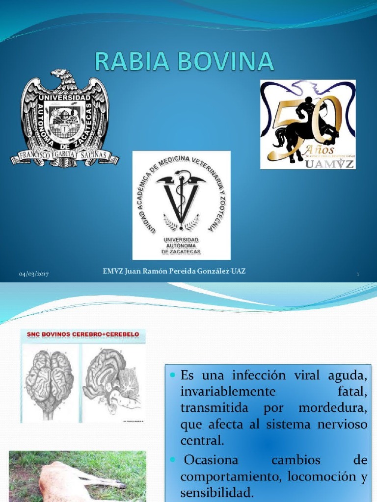 Rabia Bovina | PDF