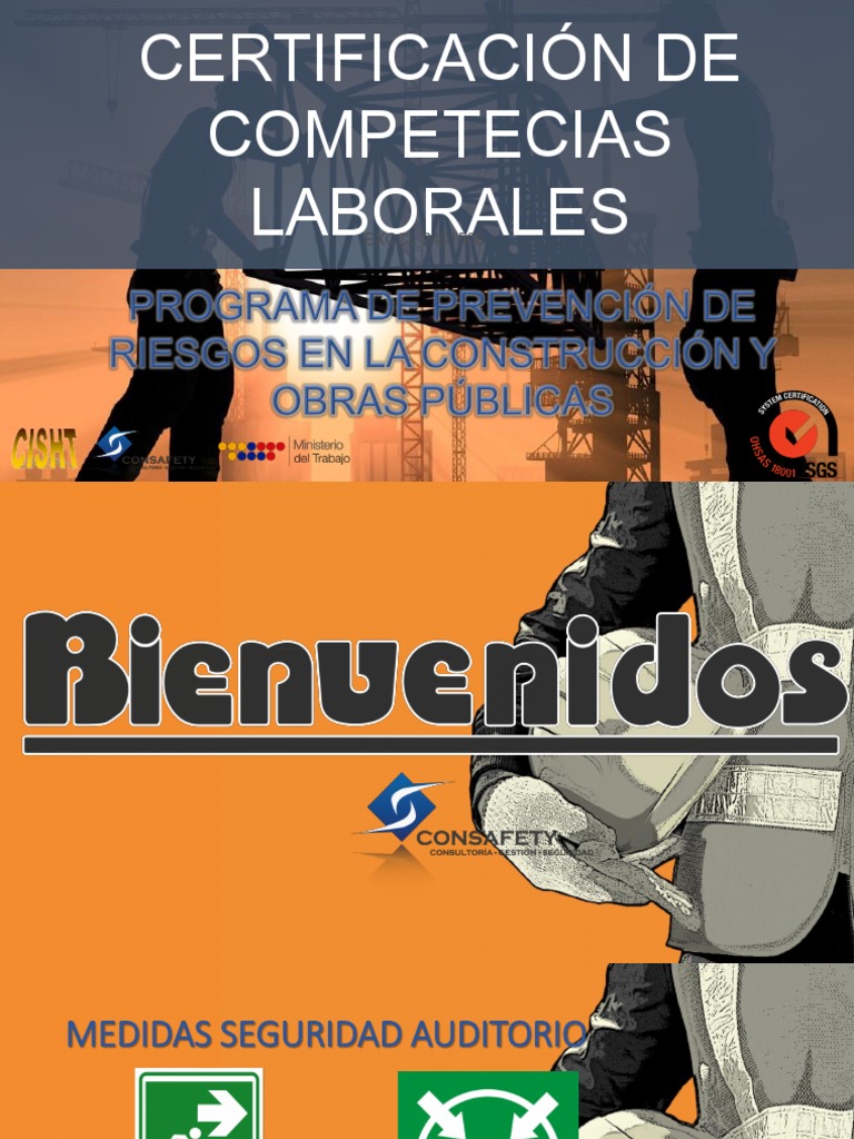 Elementos de Seguridad en el Trabajo | PDF