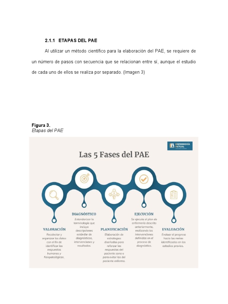 Etapas Del Pae | Descargar gratis PDF | Diagnostico medico | Enfermería