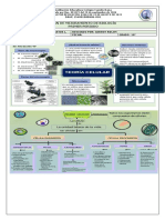 Plan de Mejoramiento de Biología Primer Periodo: Institución Educativa Colegio Camilo Daza DANE 154001008606-01G