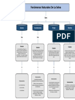 Mapa Conceptual de Los Fenomenos de La Selva
