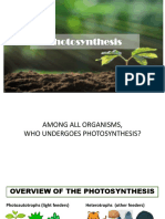 Photosynthesis Is2023