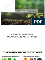 Photosynthesis