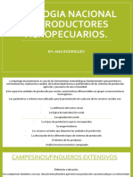 Tipologia Nacional de Productores Agropecuarios.: By: Ana Rodríguez