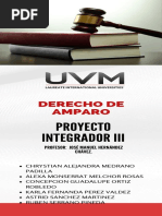 Cómo presentar un recurso de amparo en Costa Rica | PDF