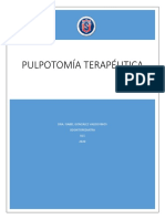 Guía de Pulpotomia Terapeutica