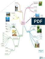 Niveles de Organización