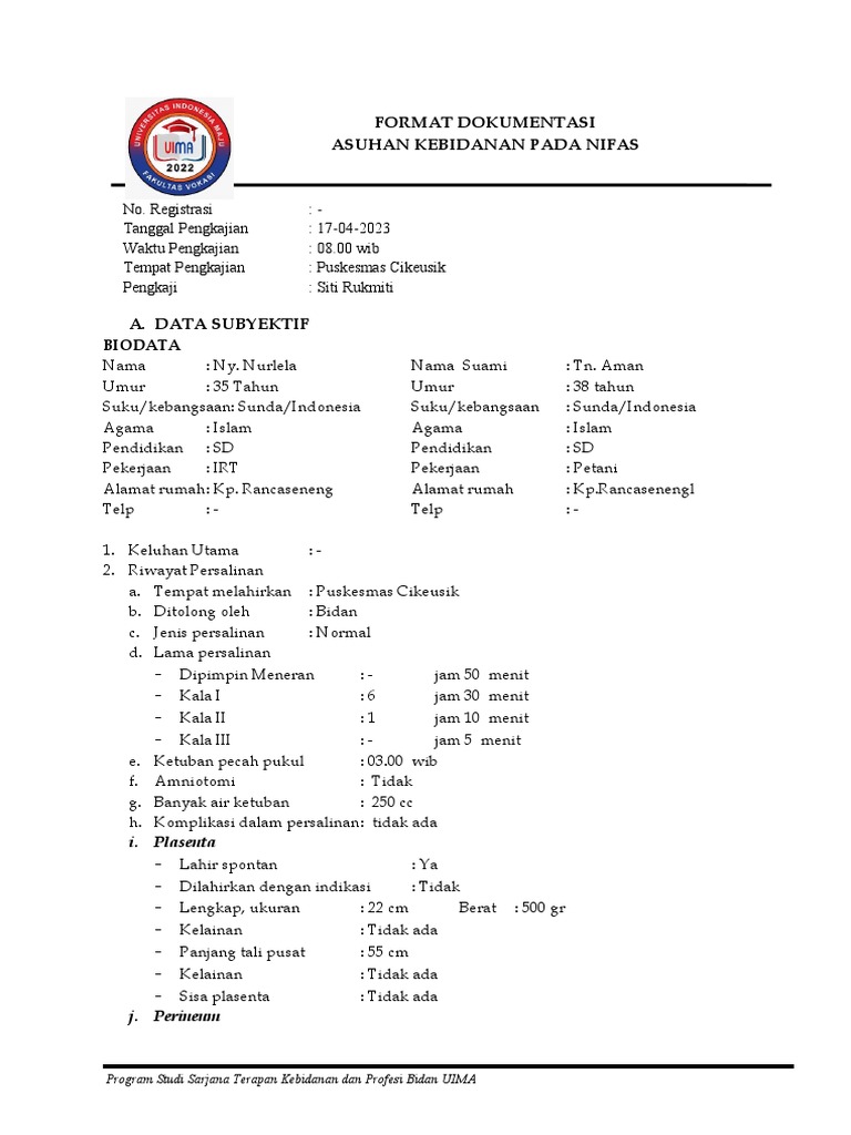 Postpartum care documentation pdf