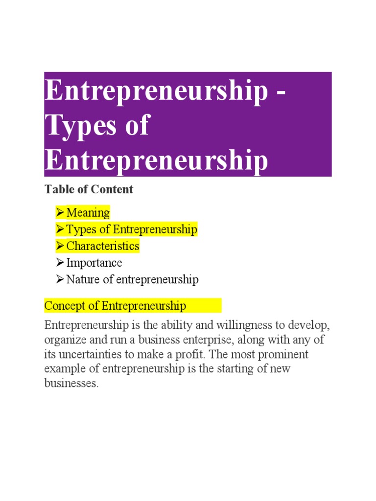 Types of Entrepreneurship Explained | PDF