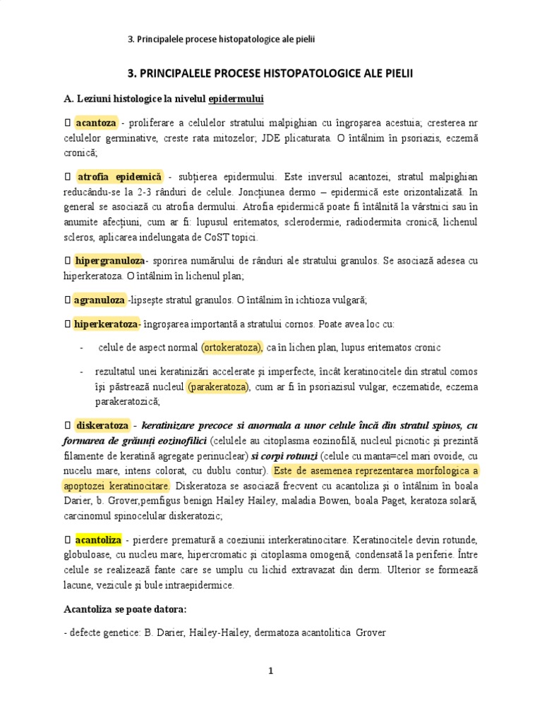 Principalele Procese Histopatologice Ale Pielii | PDF