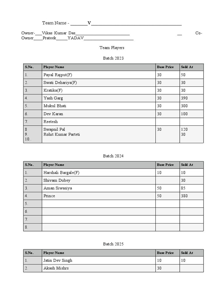Auction Team V | PDF
