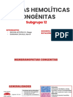 Anemias Hemolíticas Congénitas: Subgrupo 12