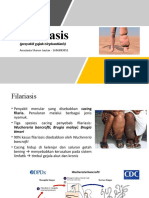 Filariasis: (Penyakit Gajah/elephantiasis)