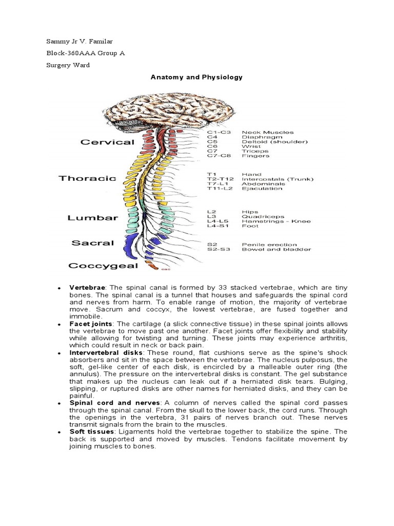 Anatomy and Physio Biology Diagrams